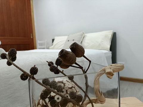 Quiet Nature-Filled Ground Floor Unit - Accommodation in Brisbane 1