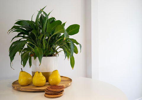 Azure Beach Retreat - Spa Luxury - Accommodation in Brisbane 2