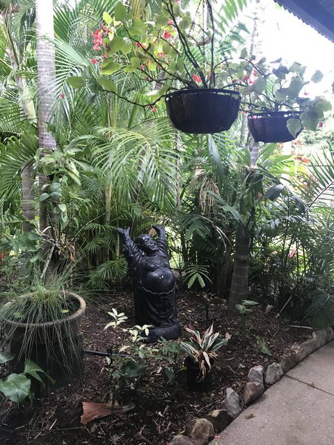 Bali Inspired Hideaway With Tropical Villa & Plunge Pool - Accommodation in Brisbane 3