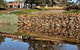 Barunah Plains Homestead - 10 Bedrooms - Sleeps 22 - thumb 3