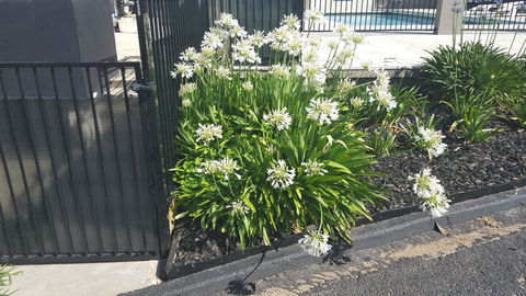 Bathurst Gold Panner - Accommodation in Brisbane 1
