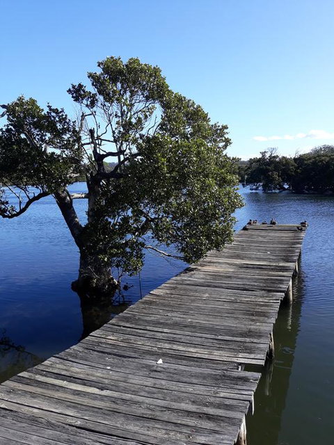 Bay Executive Motel - Accommodation in Brisbane 1