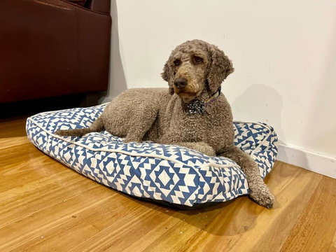 Relax And Reconnect At MaluaBay - Accommodation in Brisbane 1