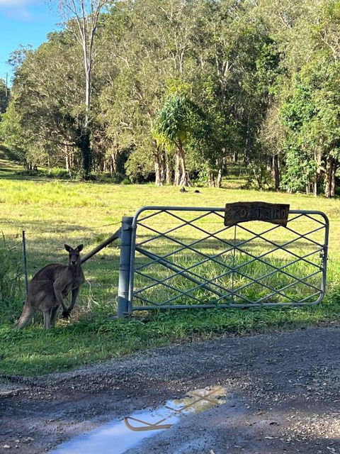 Rural Self Contained 3 Bedroom Cottage On Acreage, - Accommodation in Brisbane 2