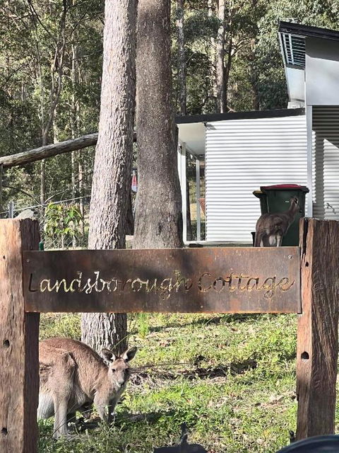 Rural Self Contained 3 Bedroom Cottage On Acreage, - Accommodation in Brisbane 1