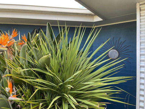 The Coastal Haven - Accommodation in Brisbane 1