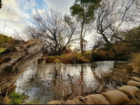 The Bushmill Cottage - Accommodation in Brisbane 3