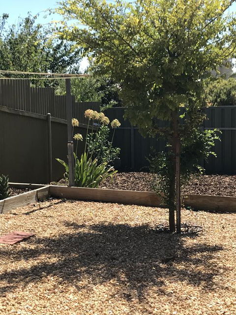 Beatty Cottage - Accommodation in Brisbane 2