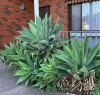 Beautiful Bedroom in Bentleigh East - Accommodation in Brisbane