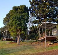 Beechmont Bean Cabins - Accommodation in Brisbane