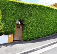 Belton Apartments - The Studio - Accommodation in Brisbane