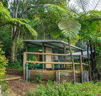 Binna Burra Rainforest Campsite - Accommodation in Brisbane