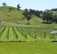 Blue House at Mountainside Wines - Accommodation in Brisbane