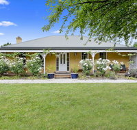 Blue Wren - Accommodation in Brisbane