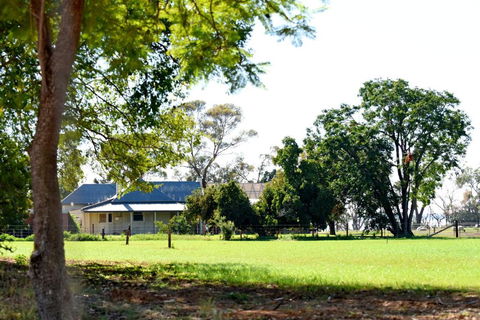 The Jetty Hut - Lake Frontage Barmera Riverland - Accommodation in Brisbane 2
