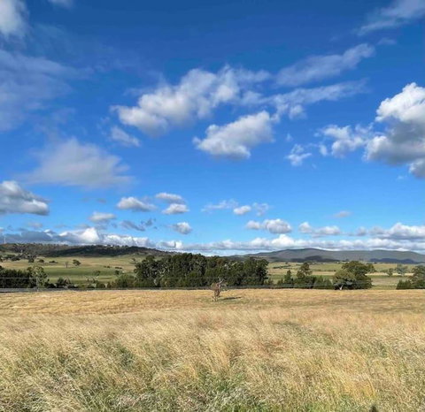 Yarras Homestead Bathurst. Luxury Farm Stay - Accommodation in Brisbane 2
