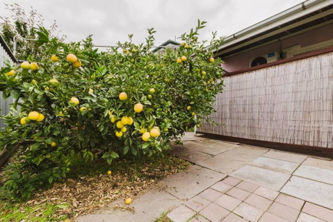 Yarraville Garden Large Home With Yard And Parking - Accommodation in Brisbane 3