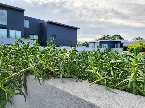 Your Quiet Penthouse With High Ceiling Split Level - Accommodation in Brisbane 2