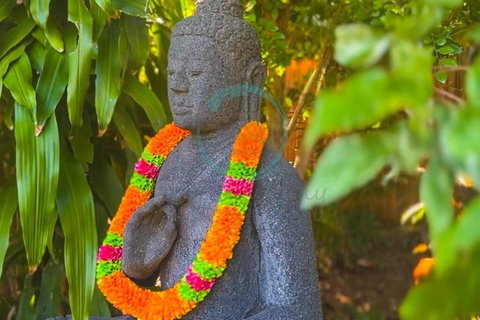 Zenhouse: 6-BR Balinese Tropical Oasis In Nightcliff Central - Accommodation in Brisbane 3