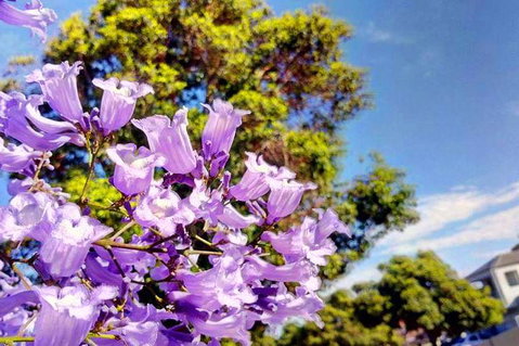 Big Perth (Private) Day Tour - Accommodation in Brisbane 3