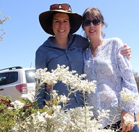 Spring Wildflower Private Day Tours - Accommodation in Brisbane