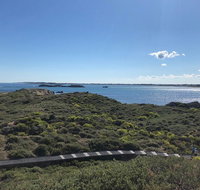 Penguin Island And Fremantle - Canoe Chocolate  Coffee - Accommodation in Brisbane