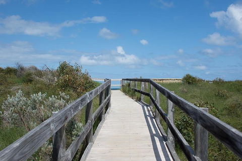 Yanchep & Lancelin - Wildlife, Cave And Sands - Accommodation in Brisbane 2