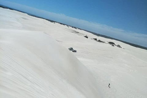 Yanchep & Lancelin - Wildlife, Cave And Sands - Accommodation in Brisbane 3