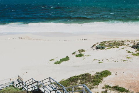 Yanchep & Lancelin - Wildlife, Cave And Sands - Accommodation in Brisbane 5