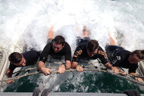 Cruise In Moreton Bay Marine Park And Moreton Island - Accommodation in Brisbane 0