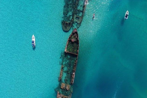 Cruise In Moreton Bay Marine Park And Moreton Island - Accommodation in Brisbane 1