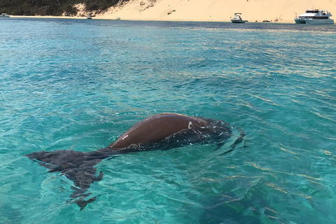 Cruise In Moreton Bay Marine Park And Moreton Island - Accommodation in Brisbane 2