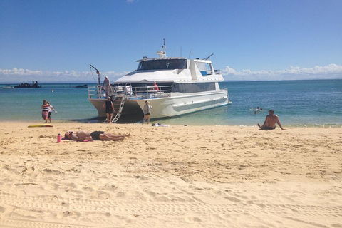 Cruise In Moreton Bay Marine Park And Moreton Island - Accommodation in Brisbane 4