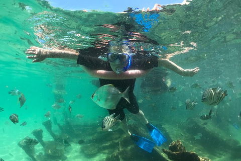 Cruise In Moreton Bay Marine Park And Moreton Island - Accommodation in Brisbane 5