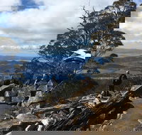 kunanyi / Mt Wellington Explorer Bus - 2 Hour Return Tour - Accommodation in Brisbane