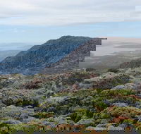 kunanyi/Mt Wellington Explorer Bus - One Way Tour - Accommodation in Brisbane