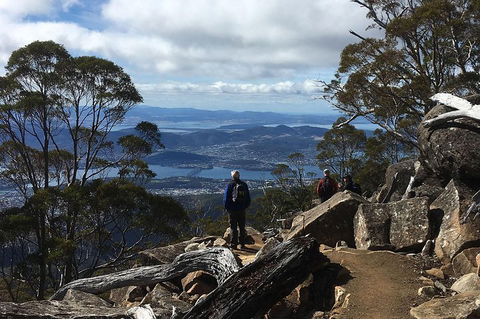 Kunanyi/Mt Wellington Explorer Bus - One Way Tour - Accommodation in Brisbane 2