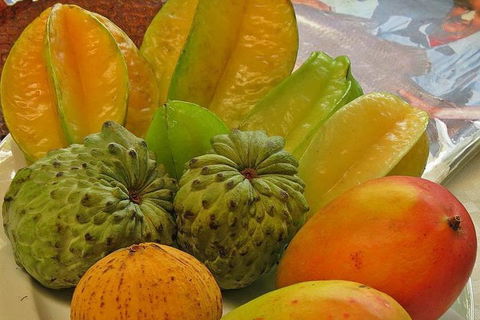 Cairns 4WD Waterfall And Rainforest Tour Including Kuranda Scenic Railway - Accommodation in Brisbane 4