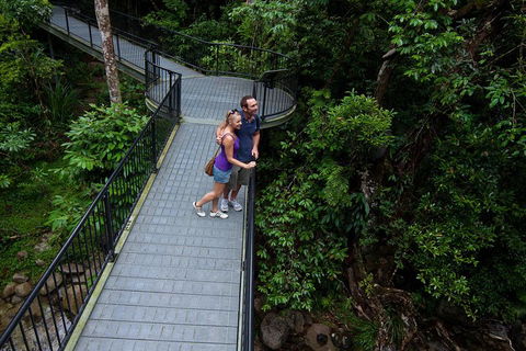 Cape Tribulation, Mossman Gorge, And Daintree Rainforest Premium Day Tour - Accommodation in Brisbane 3