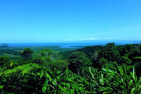 Cape Tribulation, Mossman Gorge, And Daintree Rainforest Premium Day Tour - Accommodation in Brisbane 5