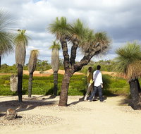 1 Day Exclusively Private Tour Of Phillip Island  The Penguin Parade - Accommodation in Brisbane