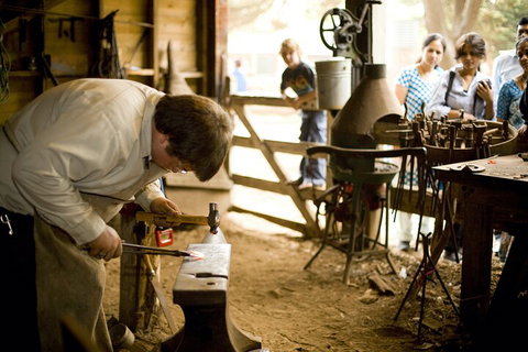 1 Day Exclusively Private Tour Of Phillip Island & The Penguin Parade - Accommodation in Brisbane 4