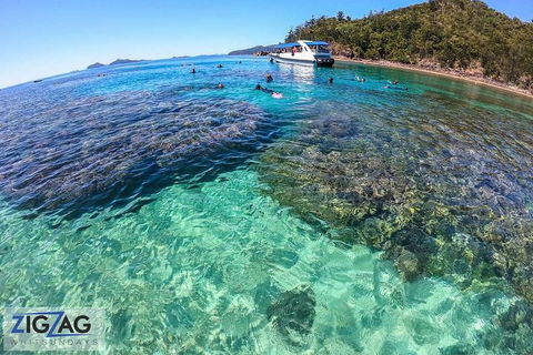 Whitehaven Beach Day Tour With Snorkel In Whitsundays Island - Accommodation in Brisbane 5