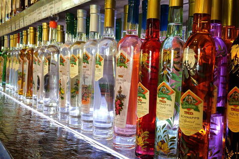 Bar & Brewery Tour - Accommodation in Brisbane 4