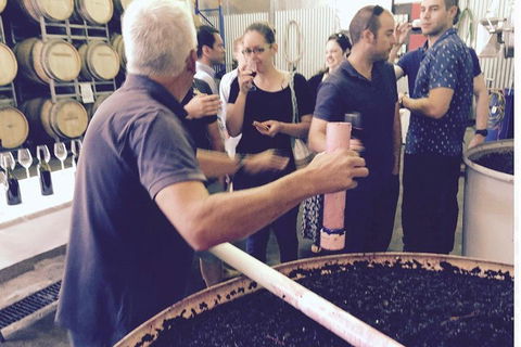 Luxury Private Mclaren Vale Wine Tour - Accommodation in Brisbane 4