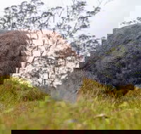 3-Day Cradle Mountain Photography Workshop - Accommodation in Brisbane