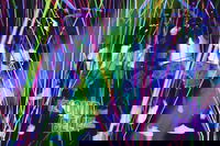 Infinity Attraction - Admission, Surfers Paradise