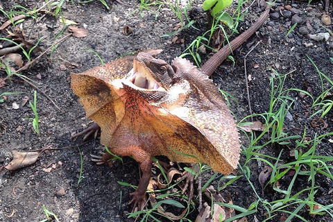 Litchfield National Park And Jumping Crocodile Cruise - Accommodation in Brisbane 1