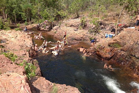 Litchfield National Park And Jumping Crocodile Cruise - Accommodation in Brisbane 5