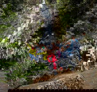 5-Day Lap of Tasmania Tour from Hobart flexible ticket - Accommodation in Brisbane